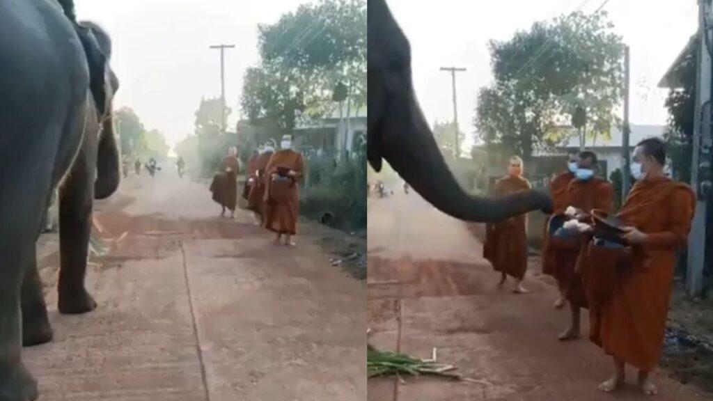 Viral Video: गजराज ने राह चलते बौद्ध भिक्षुओं से वसूला ‘टोल टैक्स’, दिल छू लेगा ये…