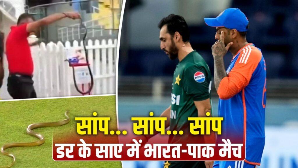 IND vs PAK: कोलंबो के मैदान पर थम नहीं रहा सांपों का आतंक, भारत-पाकिस्तान क… – भारत संपर्क
