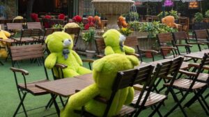 Teddy Day Special: टेस्टी फूड, शानदार एंबियंस…Teddy Day पर जरूर एक्सप्लोर करें…