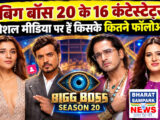 Bigg Boss: ‘बिग बॉस 20’ में आए 16 सदस्य, ये है सबसे कम पॉपुलर, इंस्टा पर सिर्फ 20 हजार फॉलोअर्स