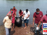 CG में गनियारी शिवनाथ नदी के तेज बहाव में बहा युवक, दो दिन की तलाश के बाद SDRF ने बरामद किया शव