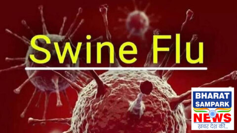 छत्तीसगढ़ में स्वाइन फ्लू: मरीजों का आंकड़ा 416 पहुंचा. एक्टिव केस 134, रायपुर में 176 संक्रमित
