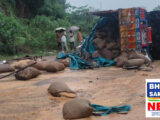 बालोद में NH-30 पर बड़ा सड़क हादसा: डीजे वाहन को घसीटता ले गया ट्रक, 6 की मौत 5 घायल