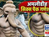 रायपुर गणेश उत्सव: मोवा-अमलीडीह में six packs और डायनासोर आकार की गणेश प्रतिमाओं पर विवाद