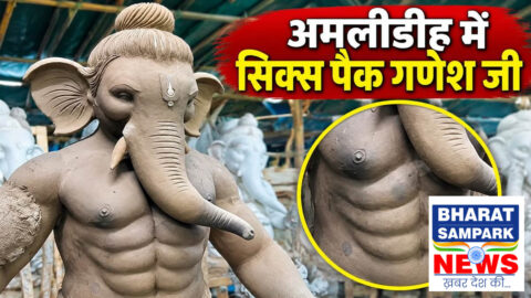 रायपुर गणेश उत्सव: मोवा-अमलीडीह में six packs और डायनासोर आकार की गणेश प्रतिमाओं पर विवाद