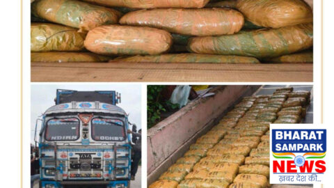 रायपुर बना गांजा तस्करों का रूट! DRI ने 13 दिन में 500 किलो गांजा पकड़ा, पांच गिरफ्तार
