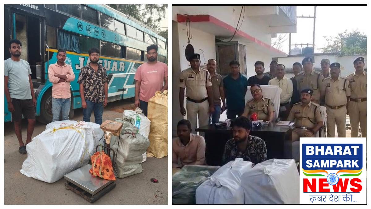 ओडिशा से यात्री बस में आ रहा था 245 किलो गांजा, पेंड्रा पुलिस ने ड्राइवर और साथी को दबोचा